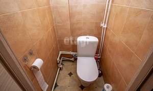 Дом 57м&sup2;, 1-этажный, участок 4 сот.  