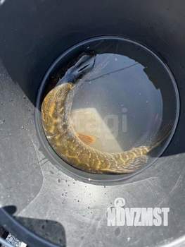 Дом 48м², 2-этажный, участок 4 сот.  