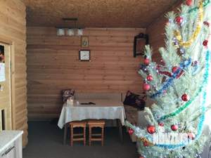 Коттедж 117м&sup2;, 3-этажный, участок 6 сот.  