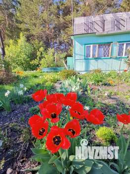 Дом 60м², 1-этажный, участок 19 сот.  