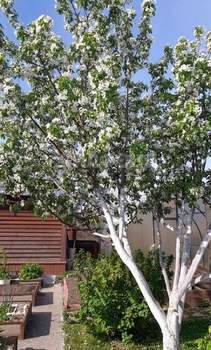 Дом 150м&sup2;, 2-этажный, участок 11 сот.  