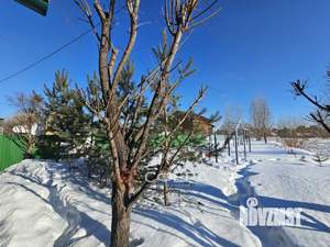 Дом 50м&sup2;, 2-этажный, участок 5 сот.  