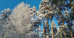 Дом 36м&sup2;, 1-этажный, участок 3 сот.  