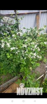 Дом 42м&sup2;, 2-этажный, участок 4 сот.  