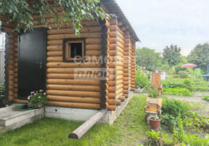 Дом 49м&sup2;, 1-этажный, участок 16 сот.  