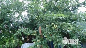 Дом 30м², 2-этажный, участок 4 сот.  