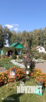 Дом 22м², 1-этажный, участок 6 сот.  