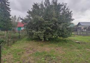 Дом 12м², 1-этажный, участок 7 сот.  