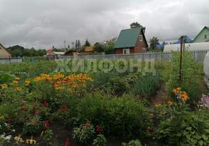 Дом 20м&sup2;, 2-этажный, участок 5 сот.  