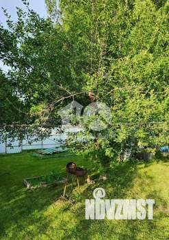 Дом 30м&sup2;, 1-этажный, участок 6 сот.  