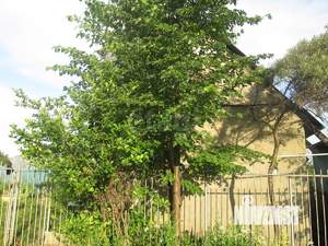 Дом 30м², 2-этажный, участок 4 сот.  