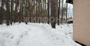 Дом 50м&sup2;, 2-этажный, участок 7 сот.  