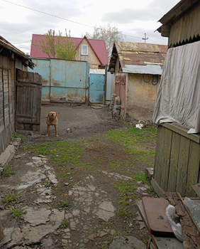 Дом 60м², 1-этажный, участок 7 сот.  