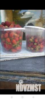 Дом 42м&sup2;, 2-этажный, участок 4 сот.  