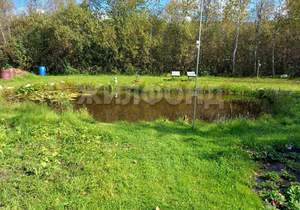 Дом 75м&sup2;, 2-этажный, участок 9 сот.  