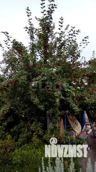 Дом 30м², 2-этажный, участок 4 сот.  