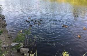 Дом 80м&sup2;, 2-этажный, участок 3 сот.  