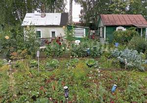 Дом 20м&sup2;, 2-этажный, участок 6 сот.  