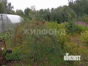 Дом 20м&sup2;, 1-этажный, участок 6 сот.  