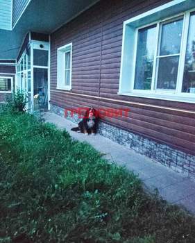 Дом 260м&sup2;, 2-этажный, участок 6 сот.  