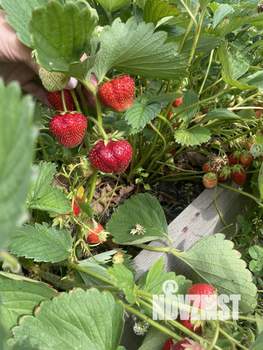 Дом 40м&sup2;, 2-этажный, участок 6 сот.  