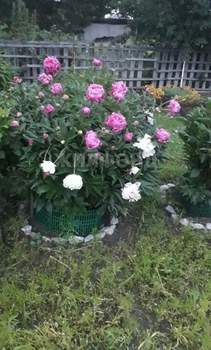 Дом 46м&sup2;, 2-этажный, участок 4 сот.  