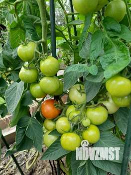 Дом 30м&sup2;, 2-этажный, участок 8 сот.  