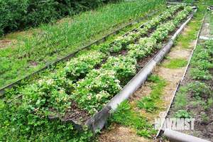 Дом 40м², 2-этажный, участок 6 сот.  