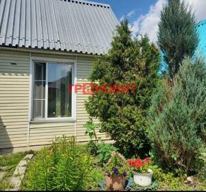 Дом 60м&sup2;, 1-этажный, участок 6 сот.  