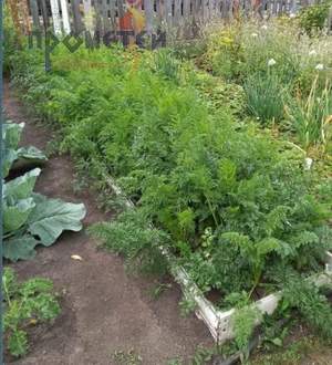 Дом 18м&sup2;, 1-этажный, участок 3 сот.  