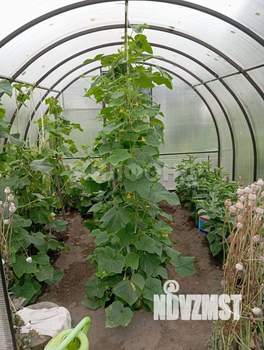 Дом 20м&sup2;, 1-этажный, участок 6 сот.  