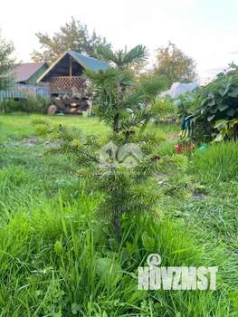 Дом 42м&sup2;, 1-этажный, участок 7 сот.  