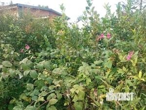 Дом 28м², 2-этажный, участок 5 сот.  