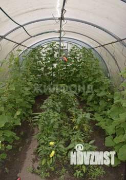 Дом 20м², 1-этажный, участок 4 сот.  