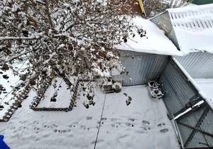 Дом 40м², 2-этажный, участок 8 сот.  