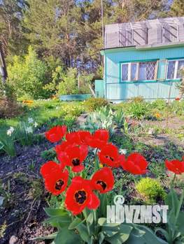 Дом 60м&sup2;, 1-этажный, участок 17 сот.  