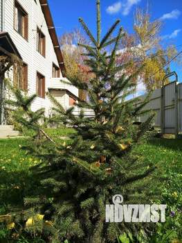 Коттедж 165м², 2-этажный, участок 12 сот.  