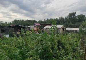 Дом 24м&sup2;, 1-этажный, участок 7 сот.  