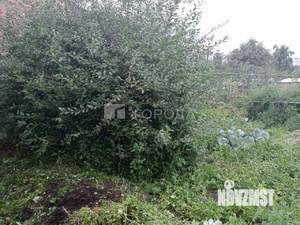 Дом 30м², 1-этажный, участок 6 сот.  