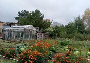 Дом 70м², 1-этажный, участок 1756 сот.  