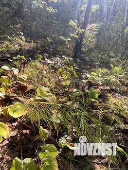 Дом 40м², 2-этажный, участок 5 сот.  