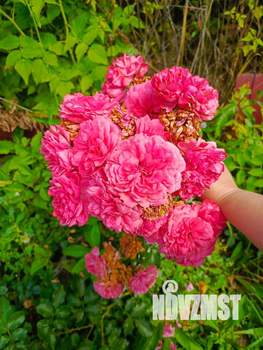 Дом 32м&sup2;, 2-этажный, участок 7 сот.  