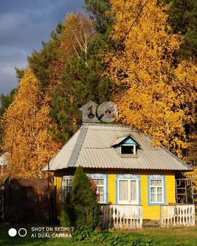 Дом 60м², 1-этажный, участок 17 сот.  