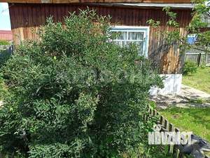 Дом 12м&sup2;, 1-этажный, участок 4 сот.  