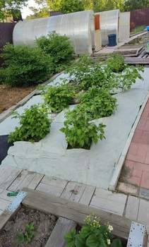 Дом 372м&sup2;, 3-этажный, участок 15 сот.  