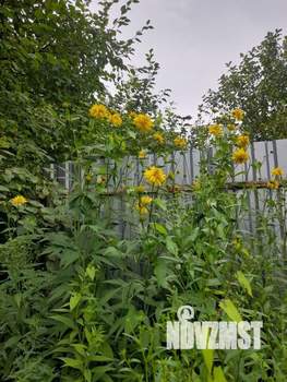 Дом 30м&sup2;, 2-этажный, участок 8 сот.  