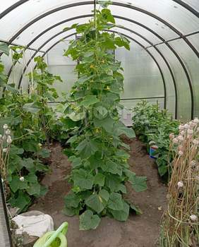 Дом 20м&sup2;, 2-этажный, участок 6 сот.  