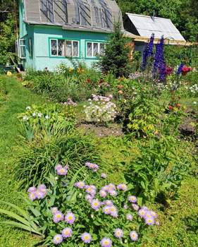 Дом 60м², 1-этажный, участок 17 сот.  