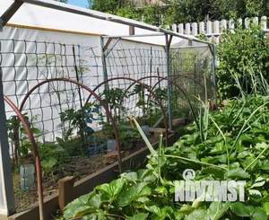 Дом 56м&sup2;, 2-этажный, участок 5 сот.  