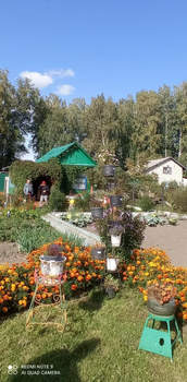 Дом 22м², 1-этажный, участок 6 сот.  